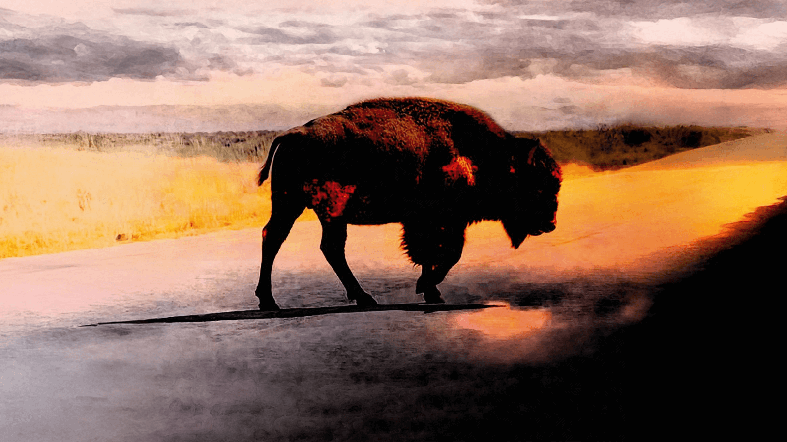 Album cover of Robert Plant - Saving Grace