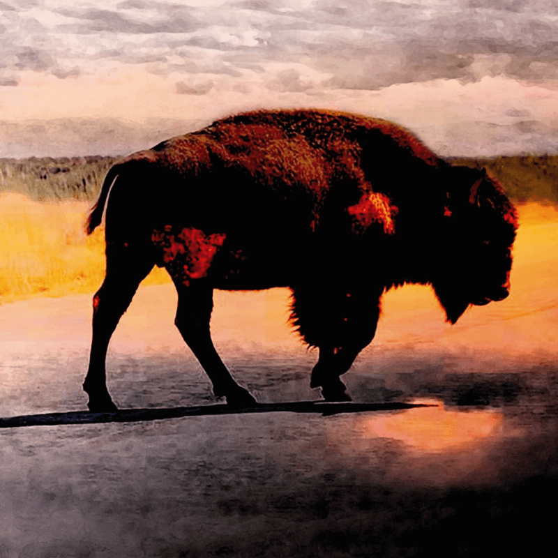 Robert Plant - Saving Grace