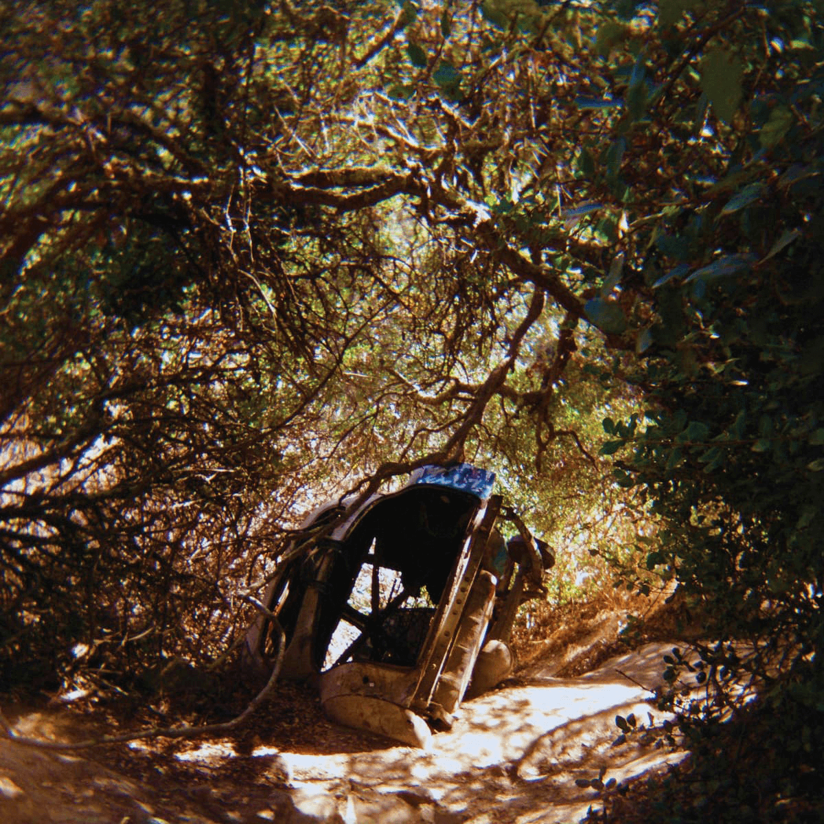 Album cover of Ty Segall - Possession